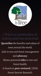 i tree